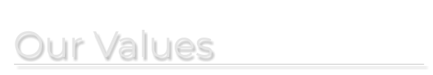 Our Values